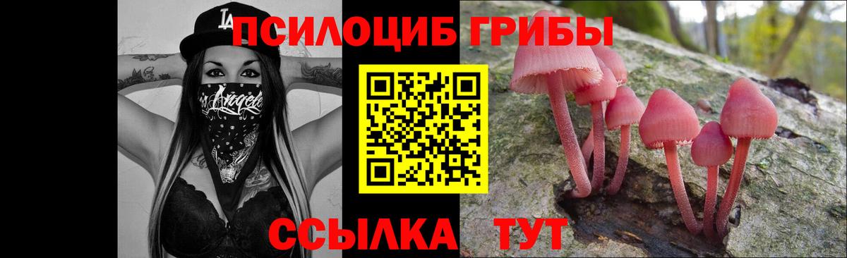 Пыть-Ях  где купить   Вход с VPN  Галлюциногенные грибы мицелий 